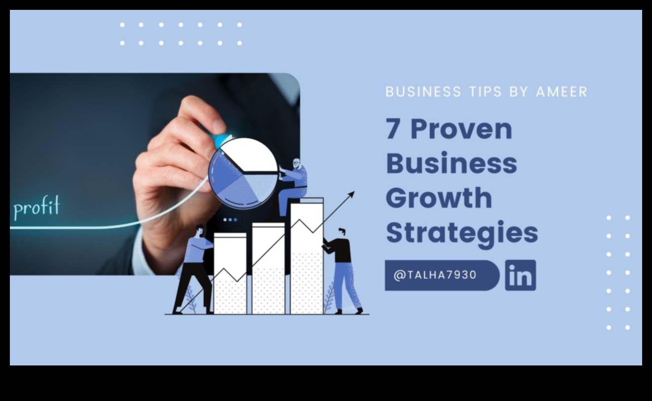 7 Proven Strategies for Business Triumph Lessons from Successful Growth Leaders 1